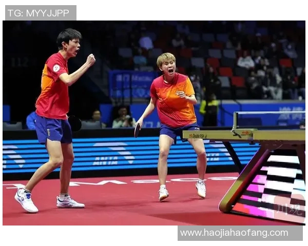 杨敏独家分享乒乓球技巧与心得助你提升球技的秘密之旅