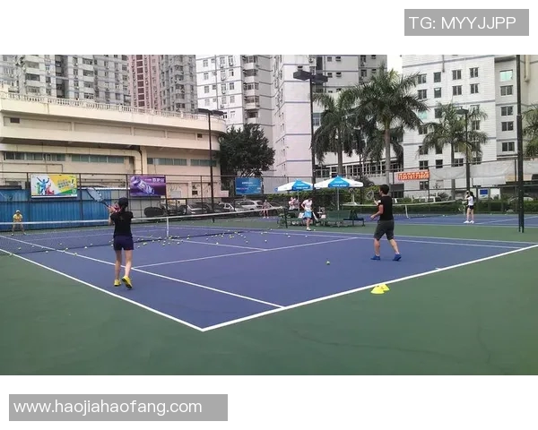 深圳网球队荣登网球个人能力排行榜首位引领全国水平提升 深圳网球队荣登网球个人能力排行榜首位引领全国水平提升