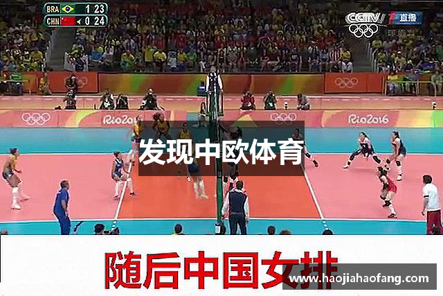 发现中欧体育